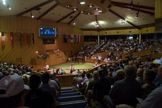 NZB's World Renowned Auditorium